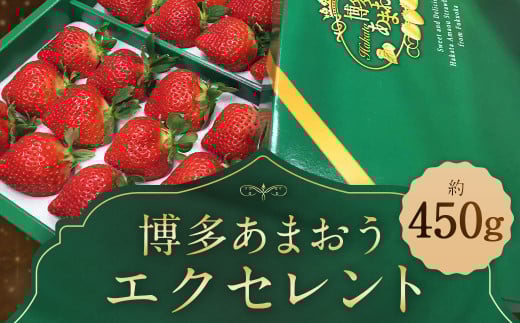 【期間限定】博多 あまおう いちご エクセレント 約450g×1パック 苺 イチゴ 果物 フルーツ 【2026年1月下旬～2月下旬順次発送予定】 