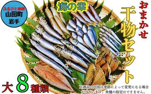 おまかせ干物セット（大）【大和水産】三陸山田 山田町 魚 魚介 干物 おかず 夕飯 詰合せ カワハギ アジ メアジ チダイ サバ イワシ サンマ タラ カレイ ムツ YD-833 2161817 - 岩手県山田町