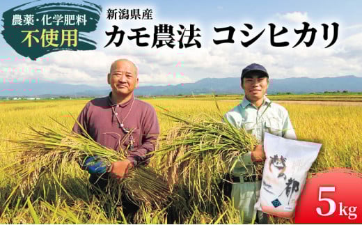 カモ農法コシヒカリ5kg 米 精米 白米 コシヒカリ 5kg こめ コメ お米 おこめ こしひかり カモ農法 農薬不使用 化学肥料不使用 新潟 新潟県  714597 - 新潟県新潟市