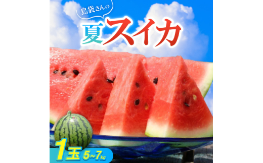 ＜2025年8月中旬から順次発送＞島袋さんの夏スイカ大玉 1玉(5.0～7.0kg)【1628646】