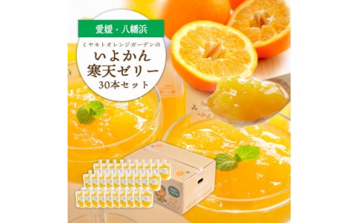ゲル化剤・pH調整剤不使用!愛媛産 いよかん寒天ゼリー 30本セット＜H25-240＞【1630031】