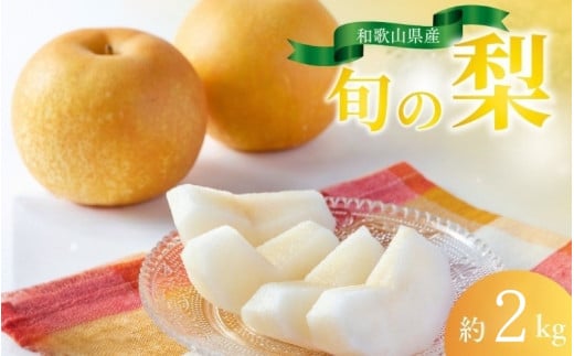 【先行予約受付】和歌山県産の美味しい梨 約2kg （6～8玉入り）【2025年8月中旬頃から順次発送予定】 / くだもの フルーツ なし ナシ 果物 産地直送【mat103A】