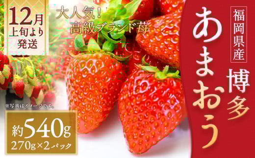 いちご「あまおう」 約270g×2パック 計約540g 苺 イチゴ 果物 フルーツ 【2025年12月上旬～2026年1月下旬順次発送予定】