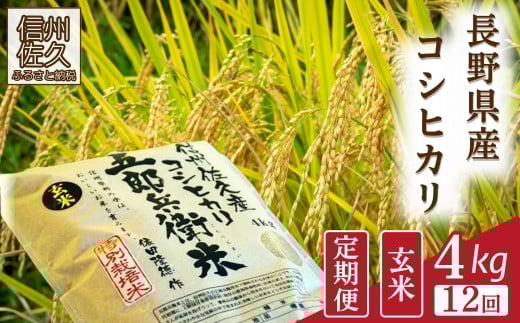 【令和7年産・玄米4kg×12カ月定期便】特別栽培米　五郎兵衛米 〈2025年9月中旬頃～順次発送〉 先行予約　新米　信州　こしひかり【 長野県 佐久市 】 1409336 - 長野県佐久市