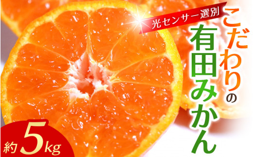 早期先行予約! [配送時期が選べる] こだわりの有田みかん 約5kg+250g(傷み補償分)[11月・12月・1月から選択可能] 光センサー選別品 農家直送品 ※北海道・沖縄・離島配送不可 / みかん 有田みかん 温州みかん 柑橘 果物 くだもの フルーツ 有田 和歌山 和歌山県産 産地直送[nuk160B]