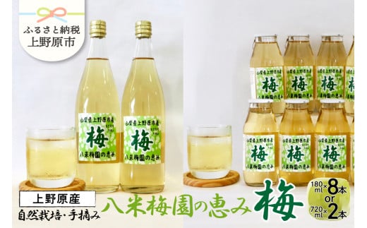 ＼＼先行予約//八米梅園の恵み 720ml×2本or180ml×8本 梅ジュース 無添加 自然栽培 八米梅園 国産 保存料不使用 梅果汁入り 飲料 梅ドリンク 美味しい 瓶 夏ギフト 贈り物 お取り寄せ 山梨県産 上野原市