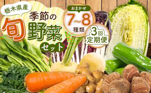 【定期便３回】季節の旬野菜おまかせセット 7～8品目 | 定期便 農薬不使用 化学肥料不使用 珍しい 栃木県 特産品