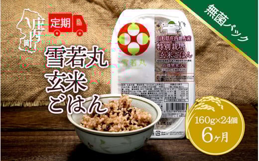 ＜8月中旬発送＞6か月定期便！雪若丸 玄米パックごはん 24個（入金期限：2025.7.25）