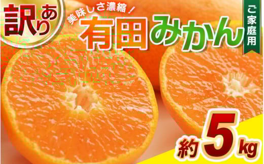 【訳あり】農家直送 有田みかん 約5kg ご家庭用 サイズ混合 ※※11月中旬から1月中旬までに順次発送予定 （お届け日指定不可）※北海道・沖縄・離島への配送不可　訳ありみかん 温州みかんイズ混合 訳ありみかん 温州みかん 有機質肥料100% ふるさと納税 柑橘 有田 産地直送【nuk161B】 1398818 - 和歌山県古座川町