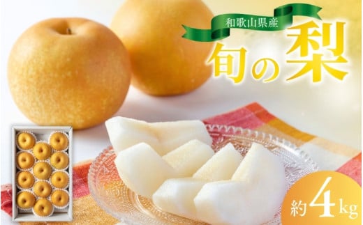 【先行予約受付】和歌山県産の美味しい梨 約4kg （10～13玉入り）【2025年8月中旬頃から順次発送予定】 / くだもの フルーツ なし ナシ 果物 産地直送【mat102A】