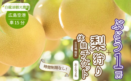 【白龍湖観光農園】《土日祝限定》時間制限なし！ぶどう1房摘み取りと梨狩り体験チケット おとな2名 果物 くだもの フルーツ 202005