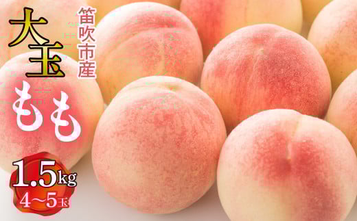 ＜25年発送先行予約＞笛吹市産　大玉もも　1.5kg(4～5玉)  227-007 1905384 - 山梨県笛吹市