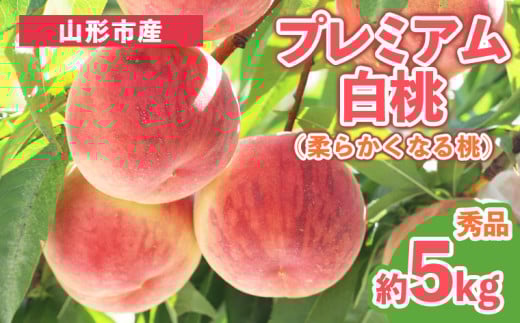 プレミアム白桃 秀品 約5kg (10～18玉) [柔らかくなる桃] FY25-200