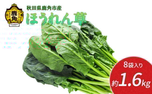 《先行予約》秋田県鹿角産 ほうれん草 約1.6kg（8袋入）●2025年12月上旬発送開始【恋する鹿角カンパニー】 新鮮 旬 緑黄色野菜 ホウレンソウ 炒め物 おひたし 安全 甘い 採れたて 国産野菜 お取り寄せ グルメ ギフト お中元 お歳暮 秋田 あきた 鹿角市 鹿角 秋田県 鹿角産 送料無料 2133775 - 秋田県鹿角市