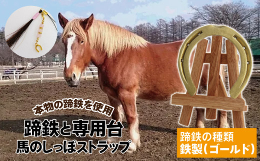 蹄鉄 ( 鉄製 ゴールド )& 専用台 & 馬のしっぽの毛 ストラップ 【馬っこパーク・いわて】/ 馬蹄 てい鉄 さび止め 錆止め サビ止め 鉄 金 金色 加工 馬毛 尻尾 栗毛 鹿毛 芦毛 誕生石 幸運 開運 厄除け 魔除け アイテム 本物 インテリア アクセサリー おすすめ 820228 - 岩手県滝沢市