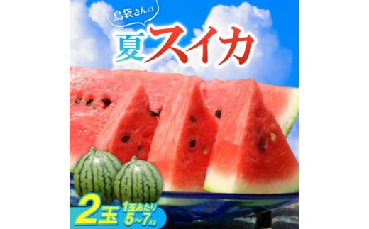 ＜2025年8月中旬から順次発送＞島袋さんの夏スイカ大玉 2玉(1玉5.0～7.0kg)【1628650】