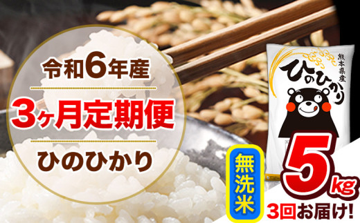 【3ヶ月定期便】令和6年産 定期便 無洗米 ひのひかり 5kg 《申込み翌月から発送》令和6年産 熊本県産 ふるさと納税 精米 ひの 米 こめ ふるさとのうぜい ヒノヒカリ コメ 熊本米 1568871 - 熊本県玉東町