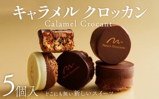 焼き菓子 キャラメルクロッカン 5個入 キャラメル クロッカン チョコ チョコレート カカオ スイーツ お菓子 焼菓子 おやつ デザート 洋菓子 ギフト プレゼント 贈り物 お祝い 御歳暮 お歳暮 記念日 人気 おすすめ ふるさと納税 京都 八幡 八幡市 パティスリーナチュールシロモト ナチュールシロモト