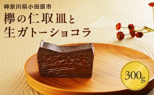 欅の仁取皿と生ガトーショコラ。小田原の伝統を受け継いだお皿と小田原の極上スイーツ(300g)のコラボ商品【チョコレート 特濃厚 濃密な味わい 極上の口溶け 極上のチョコレート 一流の料理人 カカオの風味やコク カカオ 至極の逸品 神奈川県 小田原市 】