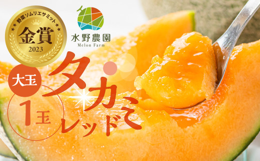 水野農園産タカミレッド 大玉1玉