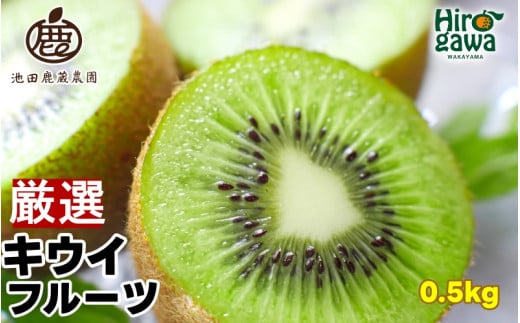キウイ 厳選 0.5kg+250g（痛み補償分） / キウイフルーツ 高級 和歌山 ※2025年11月中旬～2026年6月中旬に順次発送 ※北海道・沖縄・離島への配送不可【ikd505-p-0d5】 2145381 - 和歌山県広川町