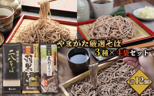 【城北麺工】やまがた厳選そば3種×4袋セット 計12個 (二八そば200g×4個・伝承羽黒そば200g×4個・太打ちそば220g×4個) FY25-185