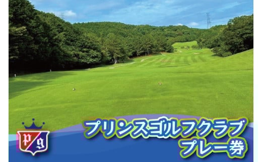 (仮)プリンスゴルフクラブ 利用券 【ゴルフ ゴルフ場 プレー 利用券 福岡 宮若】 M 