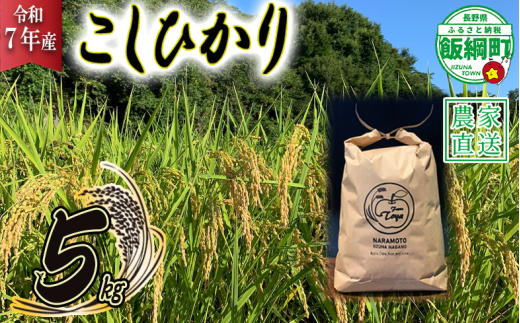 米 こしひかり 5kg ( 令和7年産 ) ファームトヤ 沖縄県への配送不可 2025年10月上旬頃から順次発送予定 コシヒカリ 白米 精米 お米 信州 17500円 予約 農家直送 長野県 飯綱町 [1137] 271754 - 長野県飯綱町
