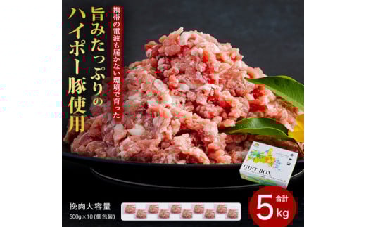 豚肉 阿武町産 豚挽肉 500g×10パック 小分けセット | 携帯の電波も届かない環境で育った旨みたっぷりのハイポー豚 ひき肉 挽肉 豚 肉 お肉 ※配送不可:離島