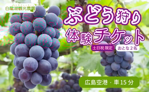 【白龍湖観光農園】《土日祝限定》ぶどう狩り体験チケット おとな2名 果物 くだもの フルーツ 202003	