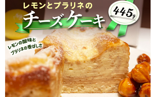 レモンとプラリネのチーズケーキ｜チーズケーキ [2320]