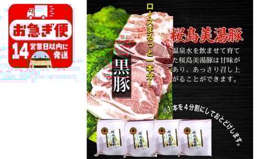 C3-0406／鹿児島県産　黒豚　桜島美湯豚　ロース ブロック　4kg (4分割)