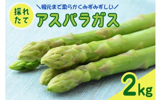 アスパラガス 2kg