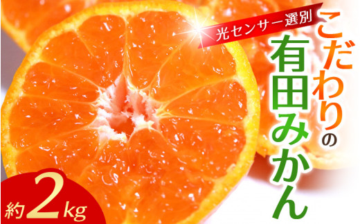 早期先行予約! [配送時期が選べる] こだわりの有田みかん 約2kg+250g(傷み補償分) [ご家庭用][11月・12月・1月から選択可] 光センサー選別品 農家直送品 ※北海道・沖縄・離島配送不可 / みかん 有田みかん 温州みかん 柑橘 果物 くだもの フルーツ 有田 和歌山 和歌山県産 産地直送 [nuk159C]