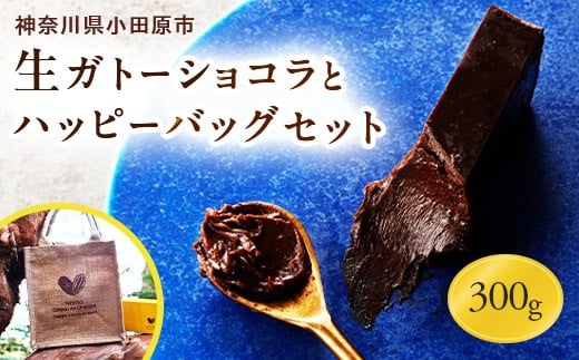 極上の口溶けと濃厚な味わいの生ガトーショコラ(300g)とハッピーバックのセット【チョコレート 特濃厚 濃密な味わい 極上の口溶け 極上のチョコレート 一流の料理人 カカオの風味やコク カカオ 至極の逸品 神奈川県 小田原市 】