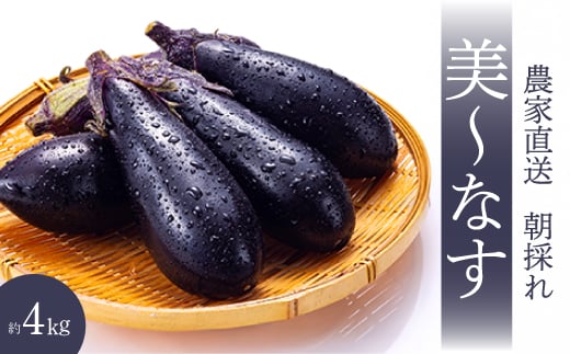 【先行受付】みのる農園 農家直送！美～なす 4kg ナス 野菜 やさい 2025年7月～10月上旬お届け 広島県三原市 206005 2150609 - 広島県三原市