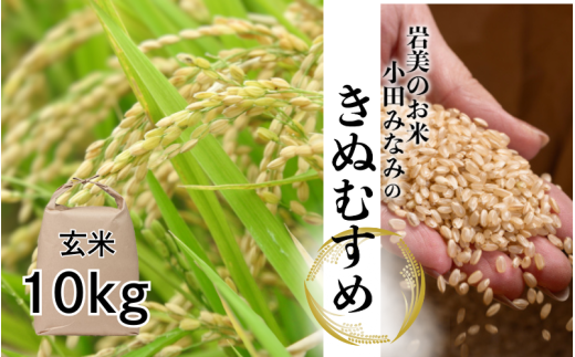 【先行予約】小田みなみのきぬむすめ（玄米）10kg｜鳥取 岩美 米 お米 こめ コメ 玄米 令和7年産 新米【31026】
