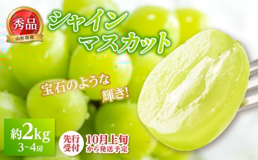 《先行受付》★シャインマスカット★ 約2kg（3～4房）秀品【2025年10月上旬頃～発送予定】 【063-005】