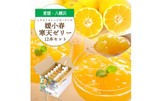 ゲル化剤・pH調整剤不使用!愛媛産 媛小春寒天ゼリー 12本セット＜D25-227＞【1629427】 2144408 - 愛媛県八幡浜市
