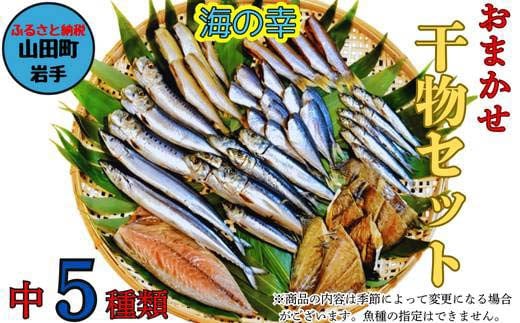 おまかせ干物セット（中）【大和水産】三陸山田 山田町 魚 魚介 干物 おかず 夕飯 詰合せ カワハギ アジ メアジ チダイ サバ イワシ サンマ タラ カレイ ムツ YD-832 2161816 - 岩手県山田町