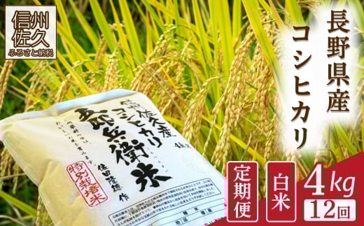 【令和7年産・白米4kg×12カ月定期便】特別栽培米　五郎兵衛米 〈2025年9月中旬頃～順次発送〉 先行予約　新米　信州　こしひかり【 長野県 佐久市 】 1409325 - 長野県佐久市