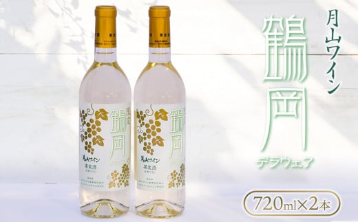 限定 月山ワイン 鶴岡デラウェア 白ワイン 720ml 2本セット A25-202 325749 - 山形県鶴岡市