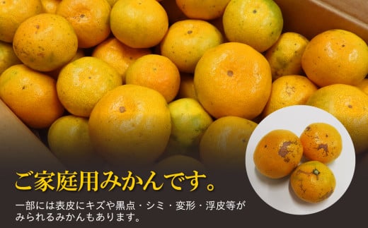 ご家庭用 温州みかん 約10kg ( 約5kg × 2箱 ) 村上農園 | フルーツ 果物 くだもの 柑橘 柑橘類 ミカン みかん 温州ミカン 熊本県 玉名市 382574 - 熊本県玉名市