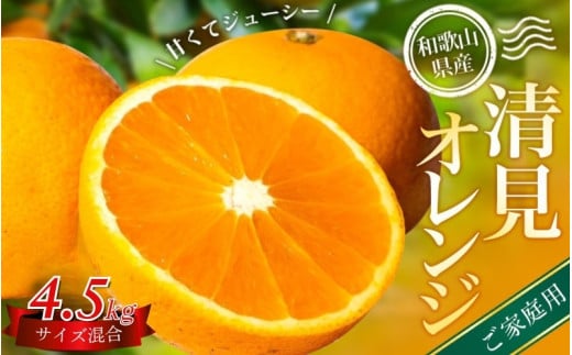 【家庭用】 森本農園の手選別 清見オレンジ 約4.5kg 和歌山県産 サイズ混合 【北海道・沖縄・離島配送不可】【2026年2月上旬～5月中旬頃に順次発送】【BV90022-mrmt022A】 1394073 - 和歌山県かつらぎ町