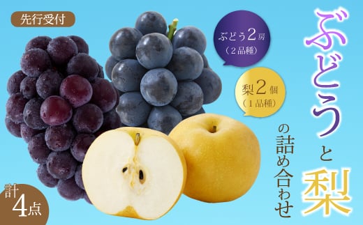 【先行受付】ぶどう2房と梨2個詰め合わせ 2025年9月下旬発送予定 果物 くだもの フルーツ ブドウ なし 葡萄 202008