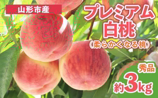プレミアム白桃 秀品 約3kg (5～14玉) [柔らかくなる桃] FY25-199