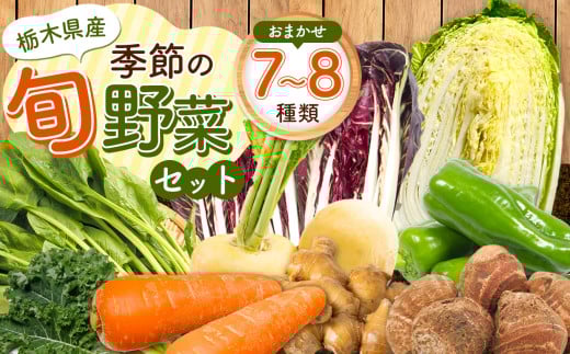 季節の旬野菜おまかせセット 7~8品目 | 野菜 お野菜 葉物野菜 根菜 農薬不使用 化学肥料不使用 珍しい 栃木県 下野市 956574 - 栃木県下野市