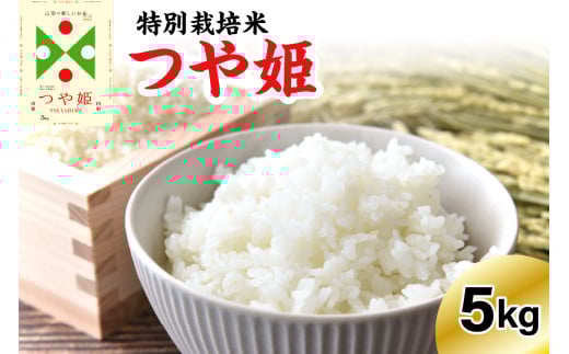 《先行予約》 ※2026年3月発送分※ 【令和7年産】 特別栽培米 つや姫  5kg 〔精米〕