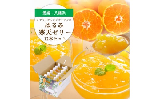 ゲル化剤・pH調整剤不使用!愛媛産 はるみ寒天ゼリー 12本セット＜D25-232＞【1629916】 2144413 - 愛媛県八幡浜市