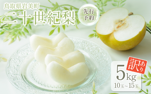 【先行予約】（訳あり）中野農園 梨 ”二十世紀梨” 5kg箱｜鳥取 岩美 梨 なし ナシ 青梨 果物 フルーツ【41027】 2093425 - 鳥取県岩美町